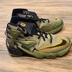 Nike LeBron James Basketball shoes